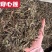 穿心莲新货野生穿心莲干净无杂质中药材批发