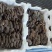 河北鲜平菇价格美丽对接全国市场量大从优质量好走货快热卖中