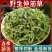 伸筋草新货筋骨草野生狮子草舒筋草中药材批发