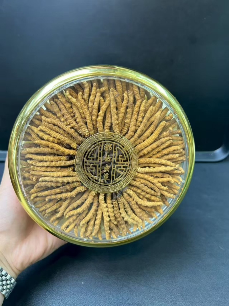 精品虫草，冬虫夏草，大量现货速发，保质保量，欢迎老板选购