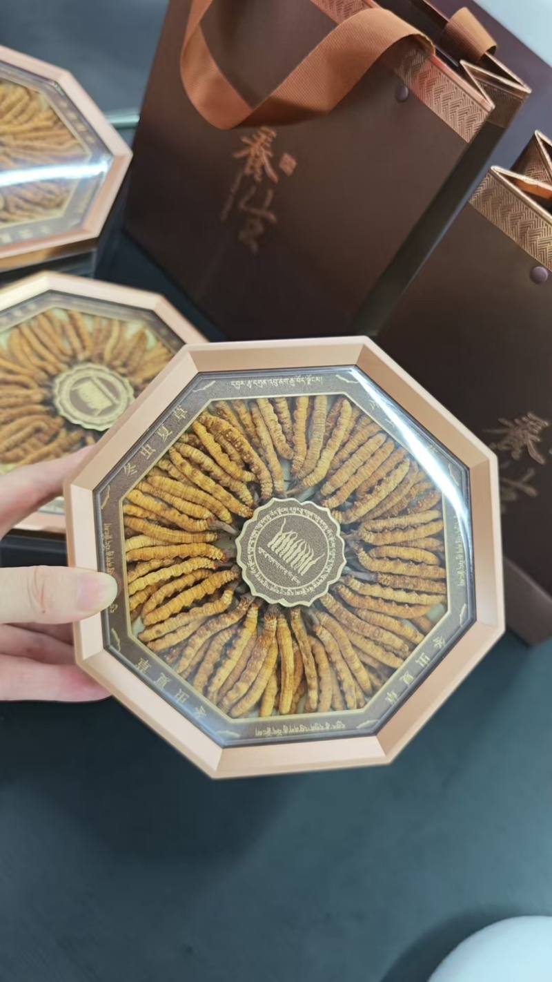 精品虫草，冬虫夏草，大量现货速发，保质保量，欢迎老板选购