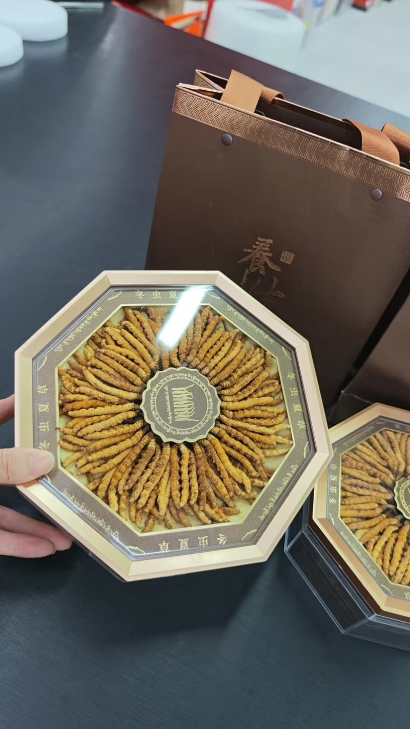 精品虫草，冬虫夏草，大量现货速发，保质保量，欢迎老板选购