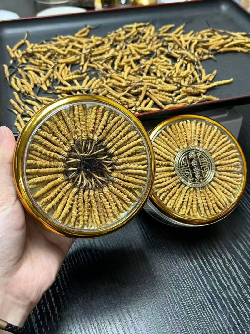 精品虫草，冬虫夏草，大量现货速发，保质保量，欢迎老板选购