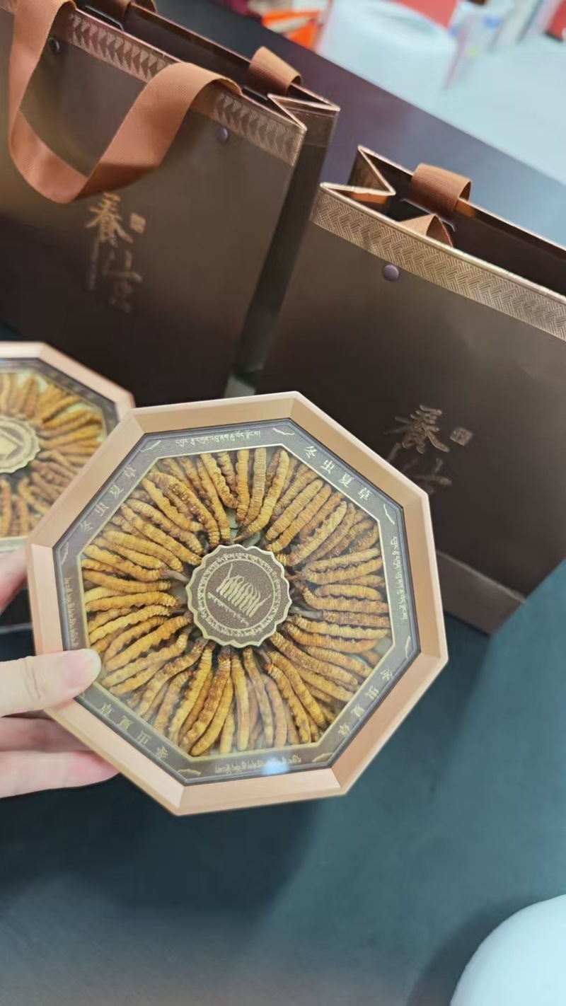 精品虫草，冬虫夏草，大量现货速发，保质保量，欢迎老板选购