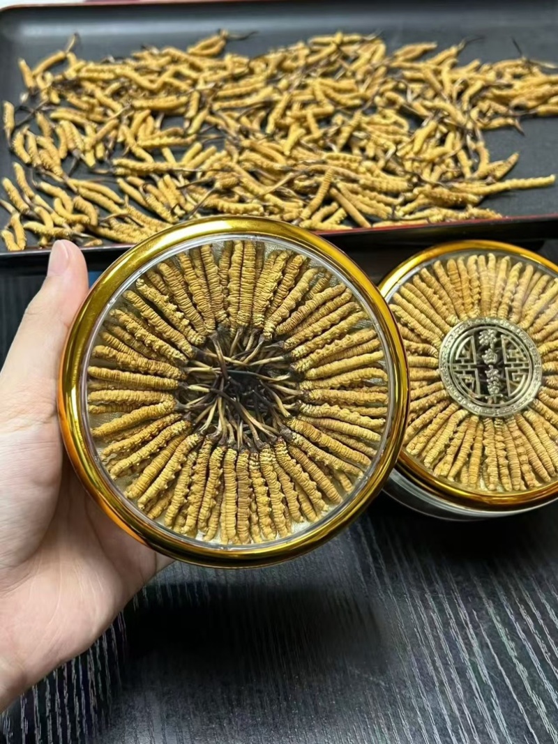 精品虫草，冬虫夏草，大量现货速发，保质保量，欢迎老板选购