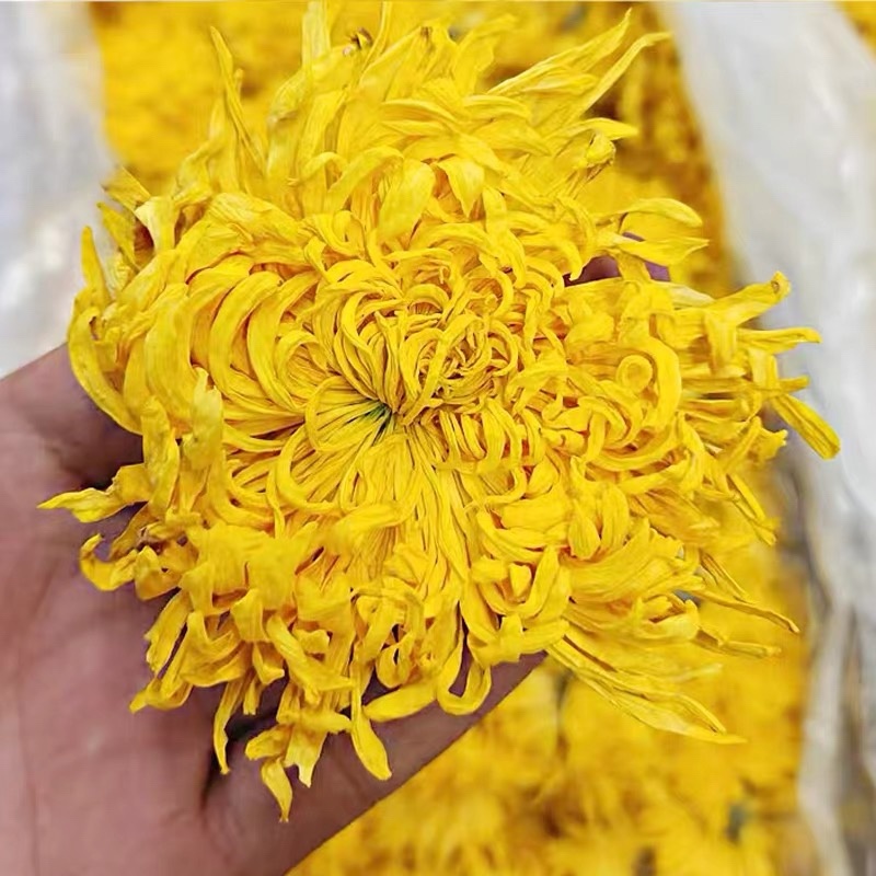 金丝皇菊新货无硫金丝菊花规格齐全中药材批发