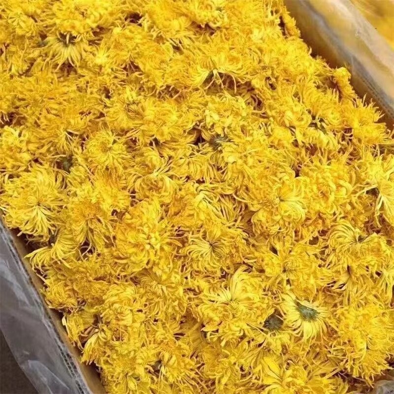 金丝皇菊新货无硫金丝菊花规格齐全中药材批发