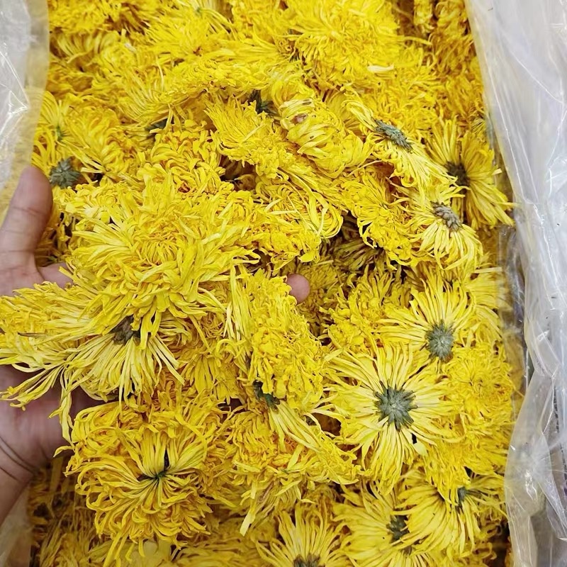 金丝皇菊新货无硫金丝菊花规格齐全中药材批发
