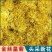 金丝皇菊新货无硫金丝菊花规格齐全中药材批发