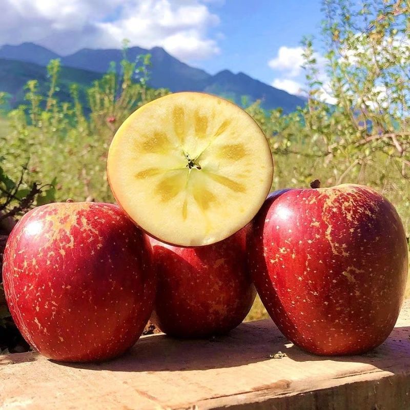 《冰糖心丑苹果》四川基地直发对接全国商超团购一条龙服务