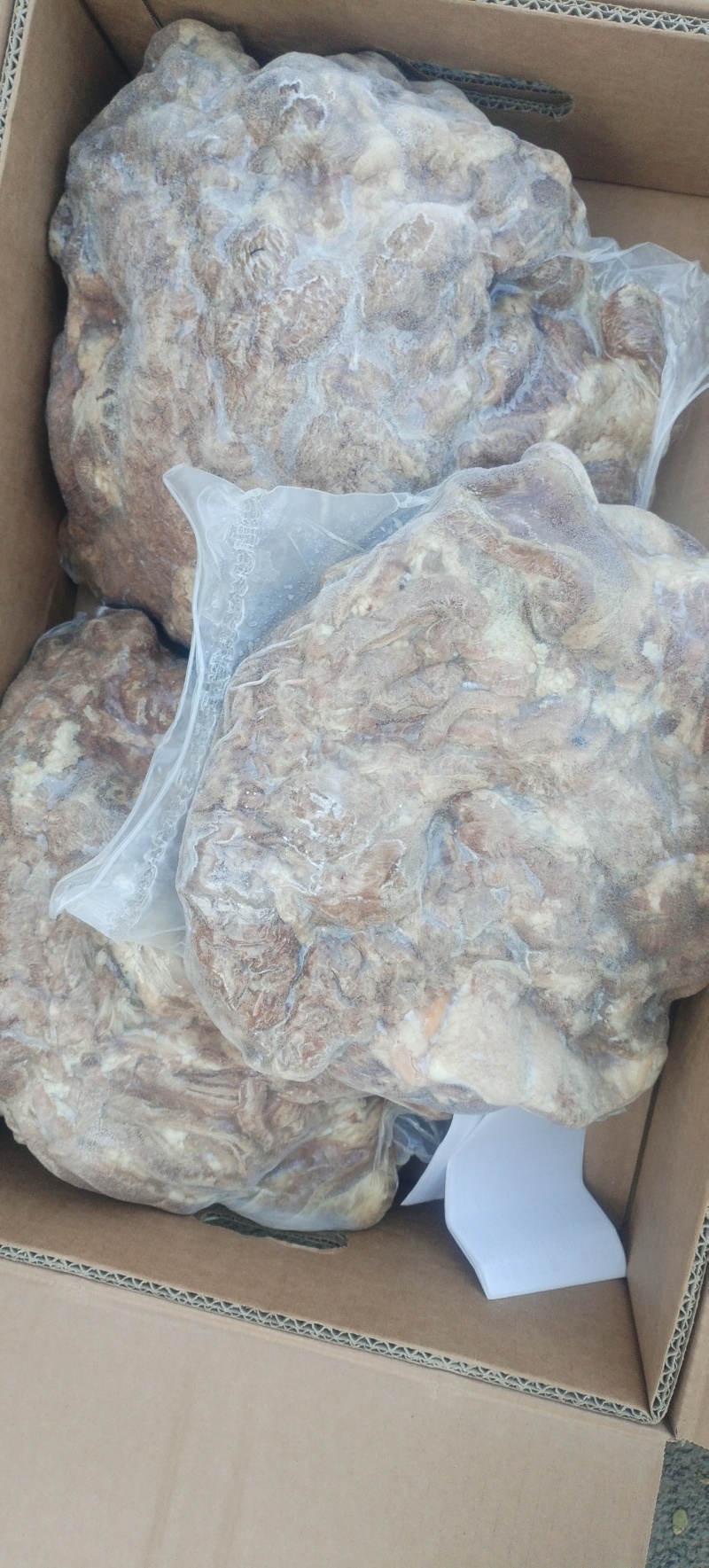 牧善轩去皮熟羊肉新货到了，**瘦，八成熟以上