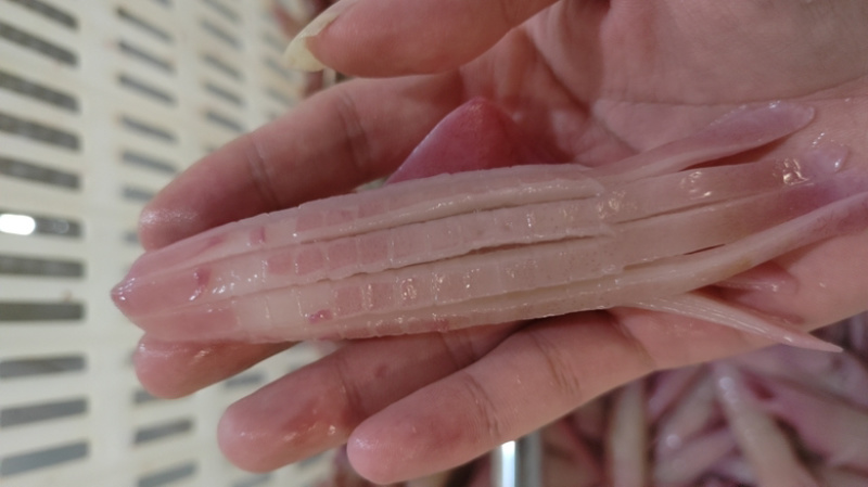 火箭鱿鱼大量供应规格齐全，量大从优对接各大商超