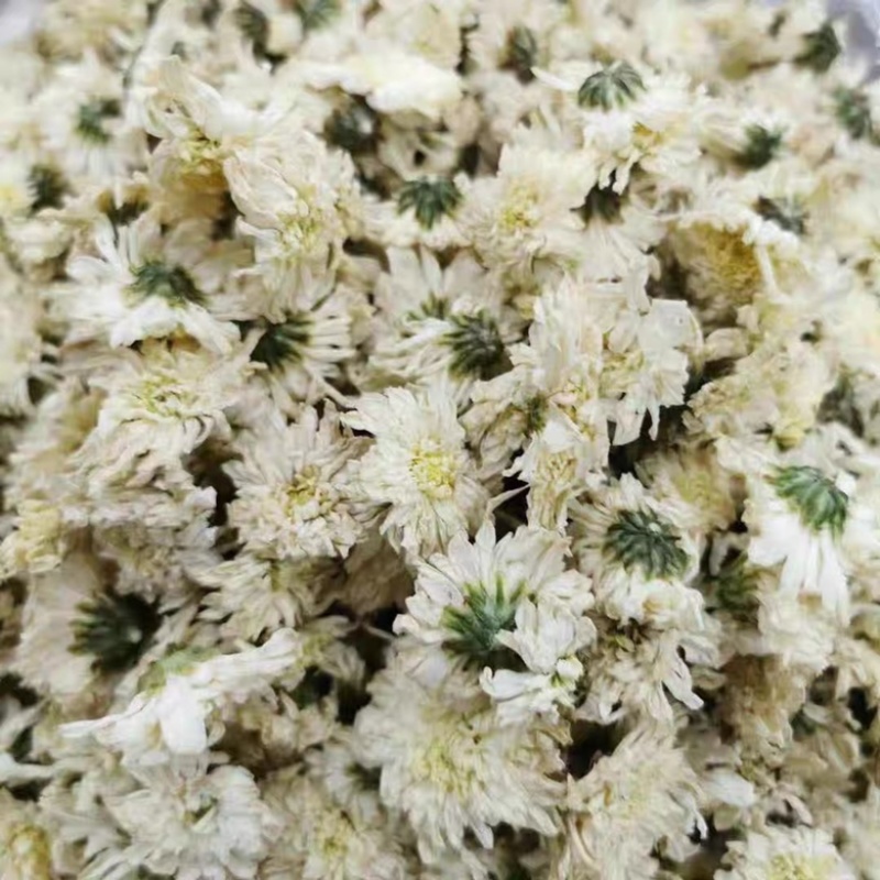 黄山贡菊白菊花干药材七月菊干净无杂质批发零售