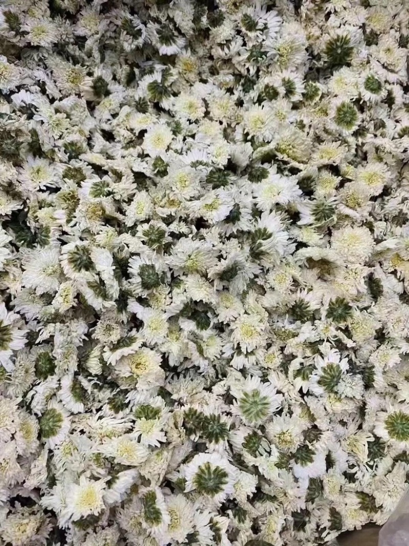 黄山贡菊白菊花干药材七月菊干净无杂质批发零售