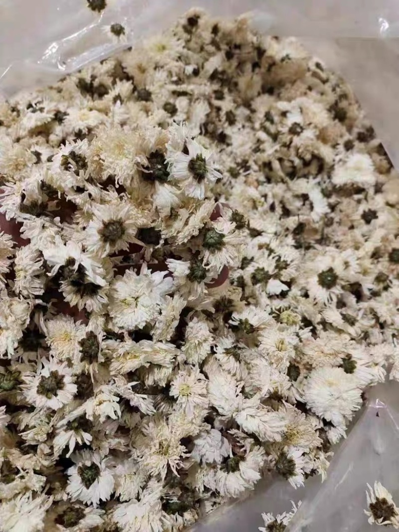 黄山贡菊白菊花干药材七月菊干净无杂质批发零售