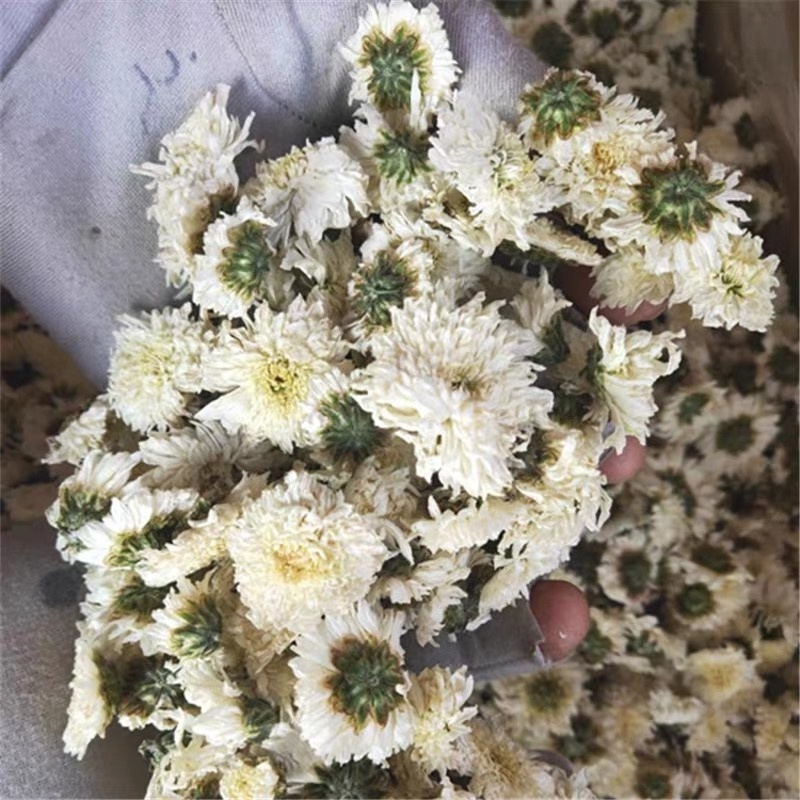 黄山贡菊白菊花干药材七月菊干净无杂质批发零售