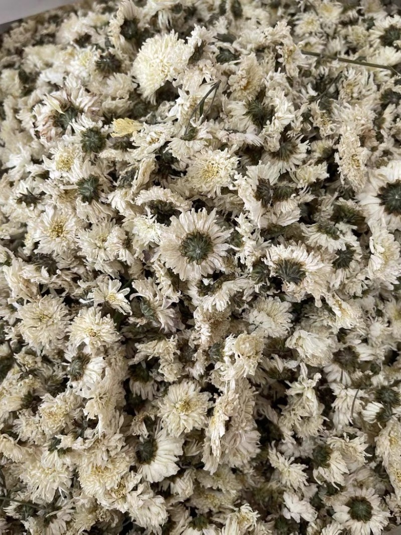 黄山贡菊白菊花干药材七月菊干净无杂质批发零售