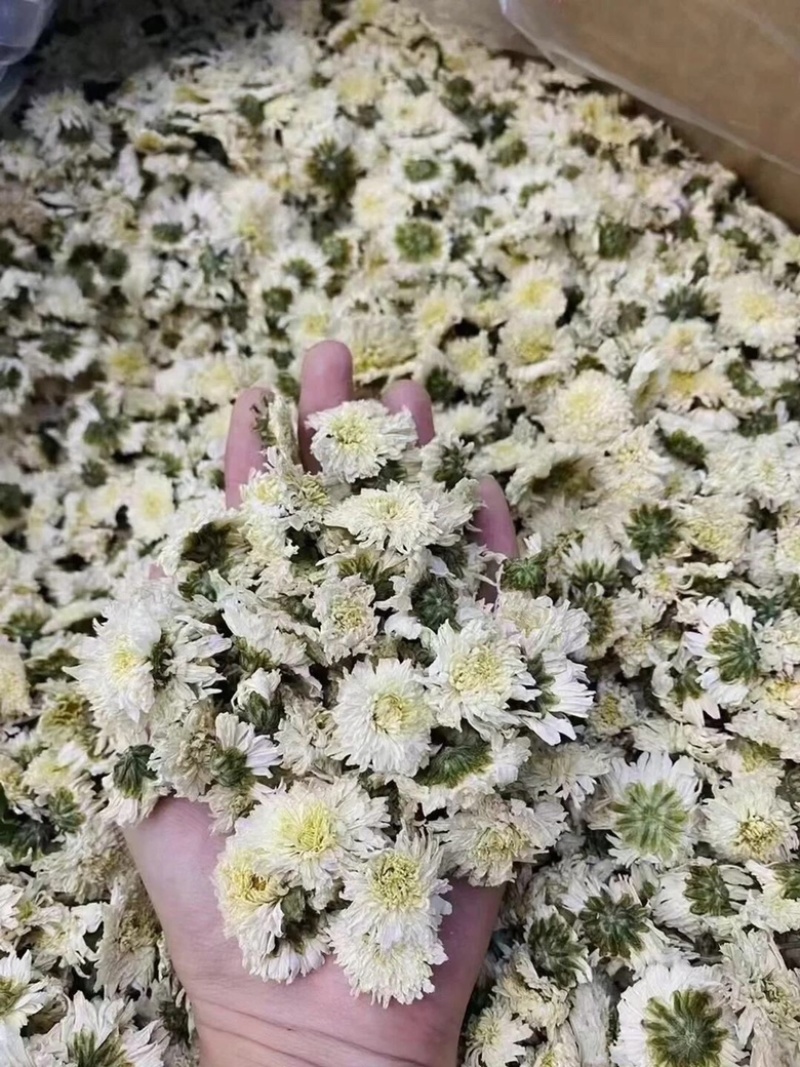 黄山贡菊白菊花干药材七月菊干净无杂质批发零售