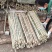 辣椒番茄专用竹竿