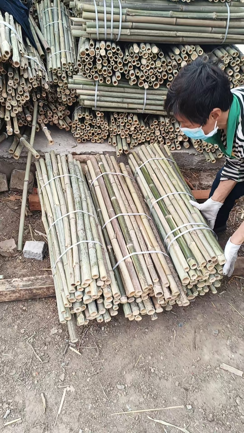辣椒番茄专用竹竿