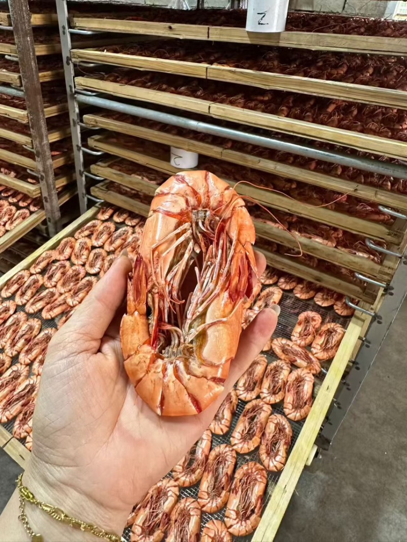 九节虾干斑节虾干即食虾干虾干批发