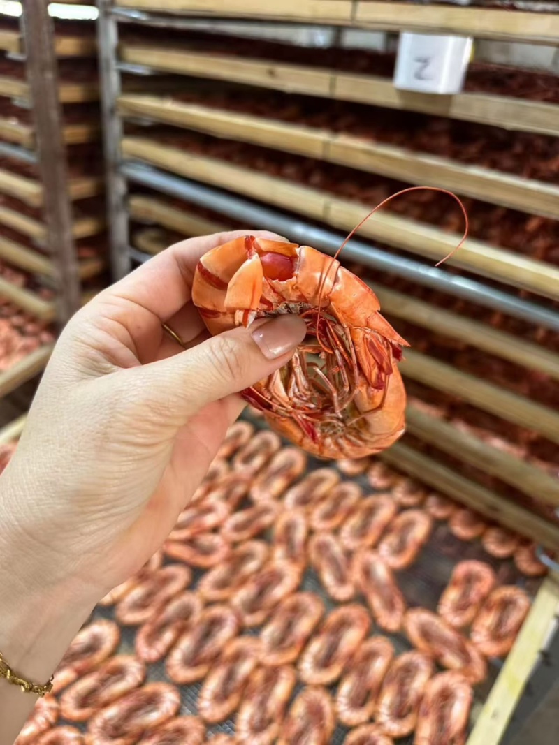 九节虾干斑节虾干即食虾干虾干批发
