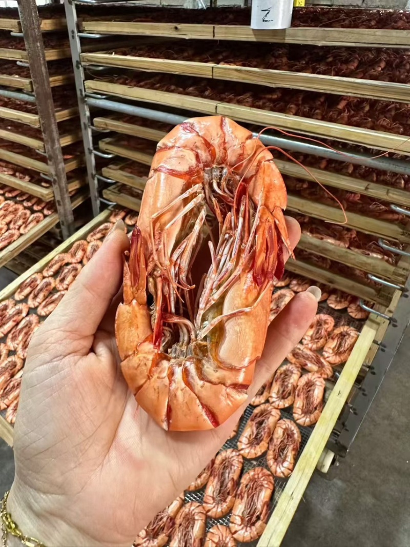 九节虾干斑节虾干即食虾干虾干批发