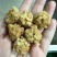 粉条焦丸子，炸丸子大量供应，厂家直发，保质保量