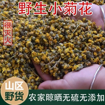 野菊花茶野生小菊花自然晾晒干净无杂质批发零售野菊花茶