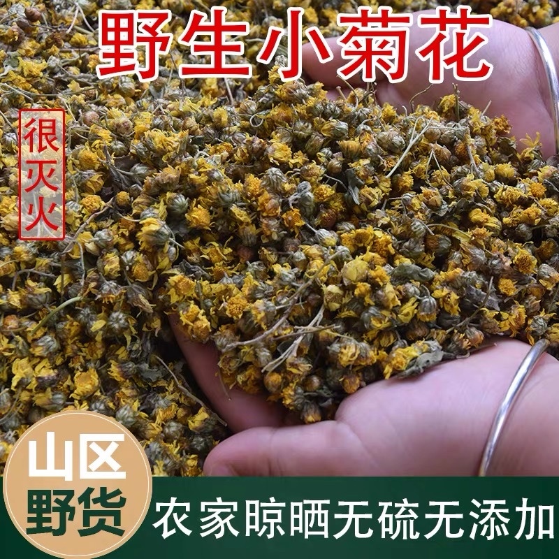 野菊花茶野生小菊花自然晾晒干净无杂质批发零售野菊花茶