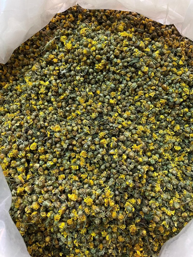 野菊花茶野生小菊花自然晾晒干净无杂质批发零售野菊花茶