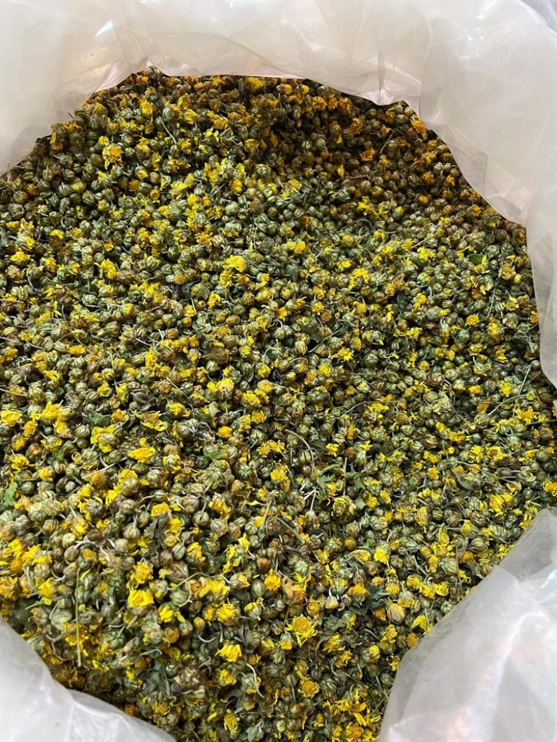 野菊花茶野生小菊花自然晾晒干净无杂质批发零售野菊花茶