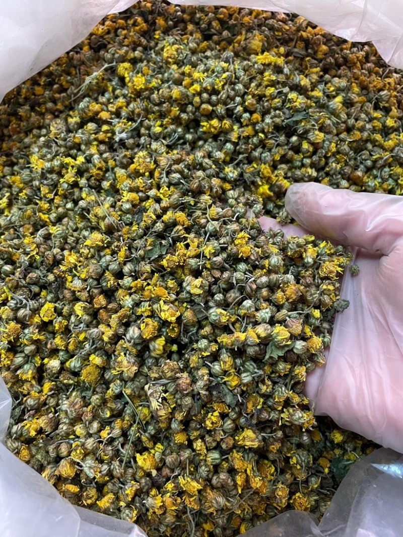 野菊花茶野生小菊花自然晾晒干净无杂质批发零售野菊花茶