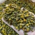 野菊花茶野生小菊花自然晾晒干净无杂质批发零售野菊花茶