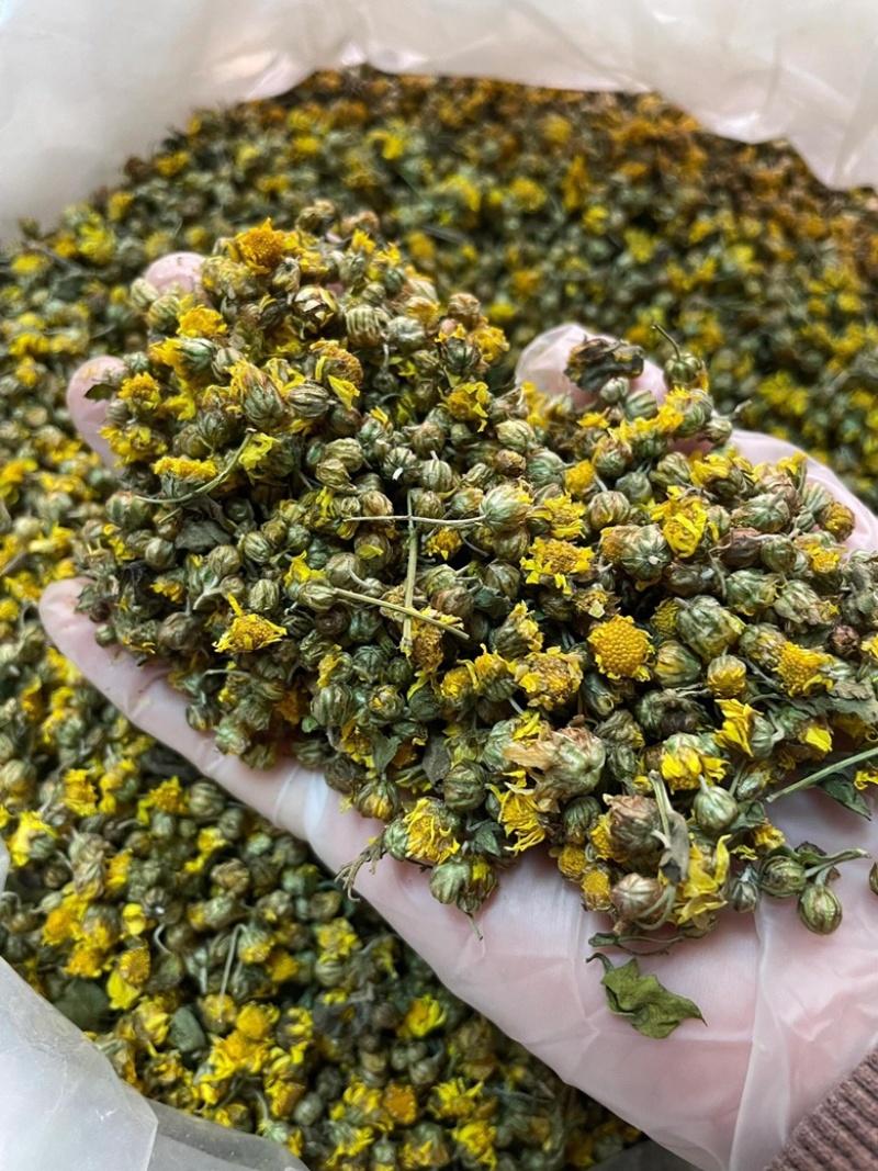 野菊花茶野生小菊花自然晾晒干净无杂质批发零售野菊花茶