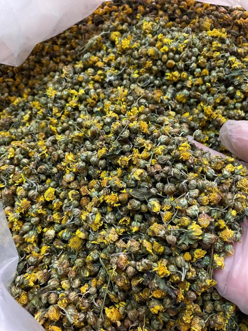 野菊花茶野生小菊花自然晾晒干净无杂质批发零售野菊花茶