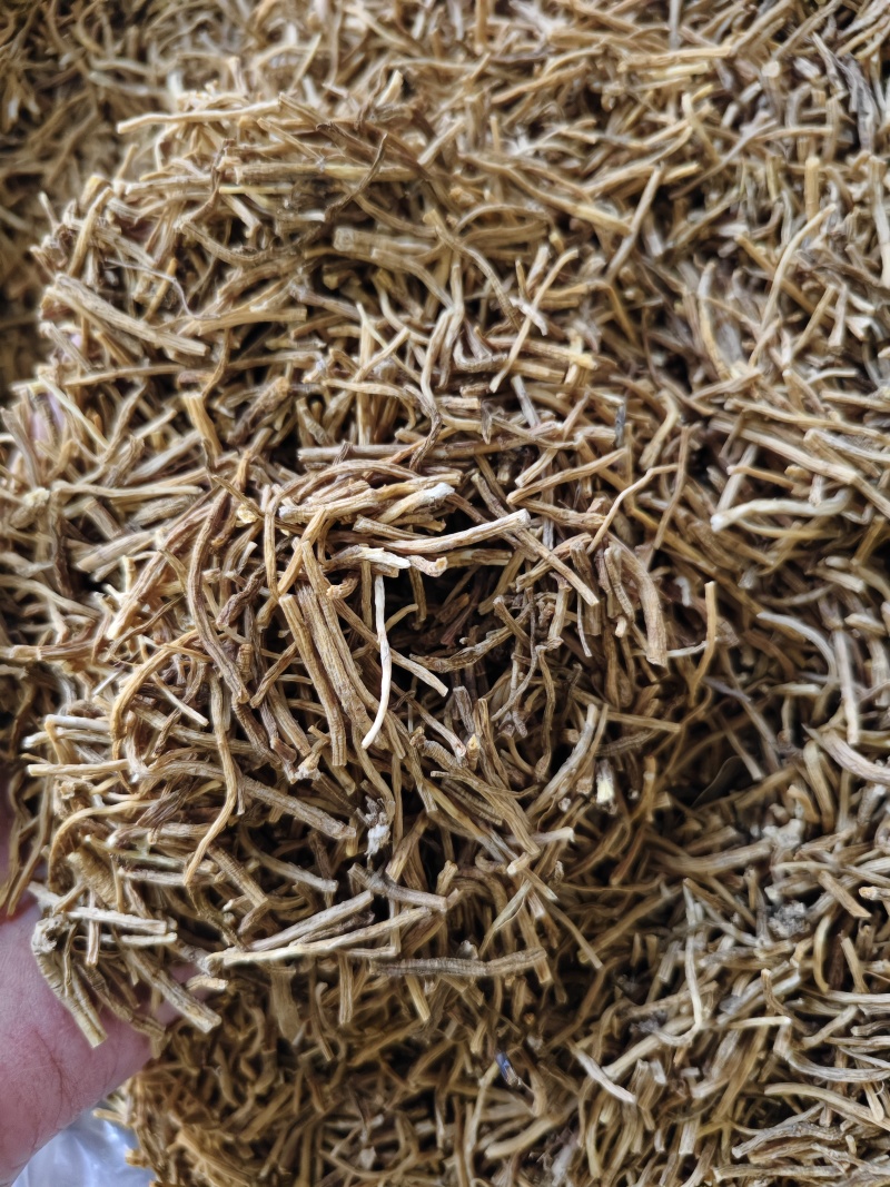 北龙胆草中药材无硫多年生辽宁北龙胆规格齐全量大从优