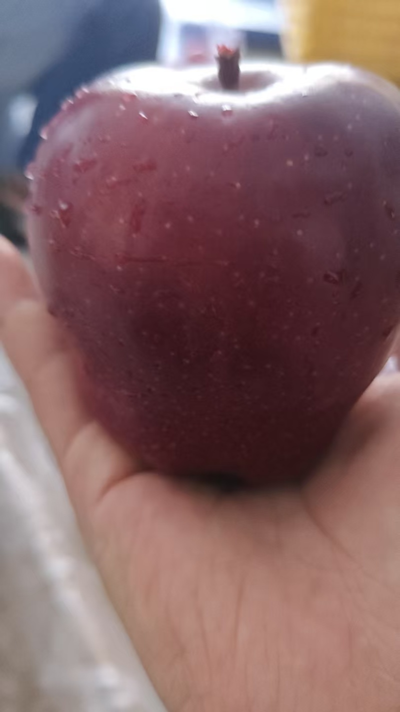 秦安红富士苹果，大量供应，产地直发，品质保证