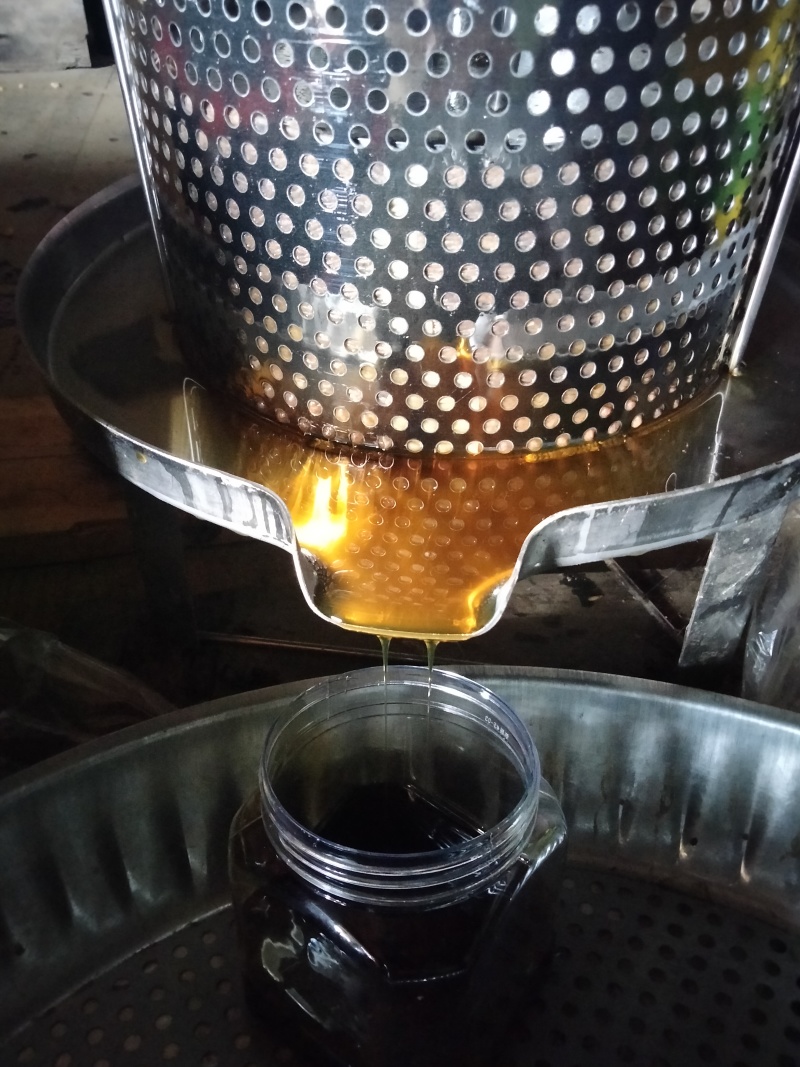大山里正宗土蜂蜜