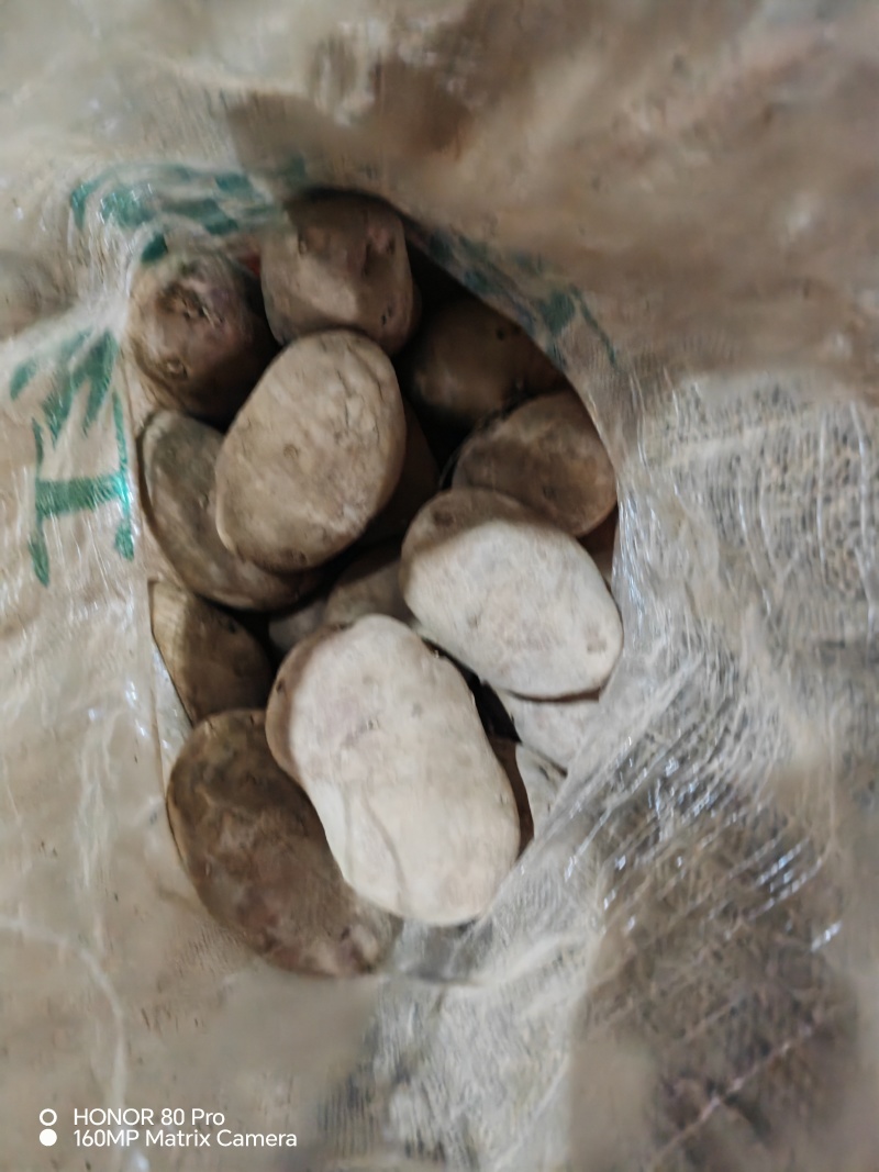 甘肃青薯九号，产地直发，价格合理，品种齐全，欢迎您来选购