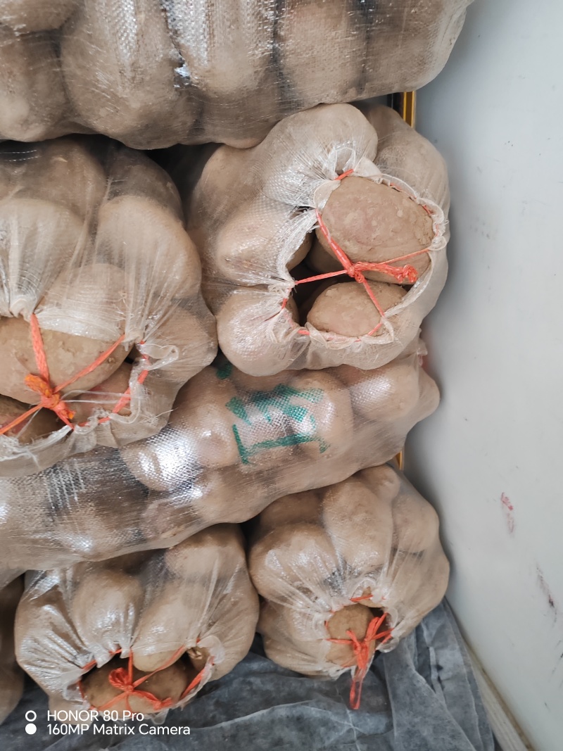 甘肃青薯九号，产地直发，价格合理，品种齐全，欢迎您来选购