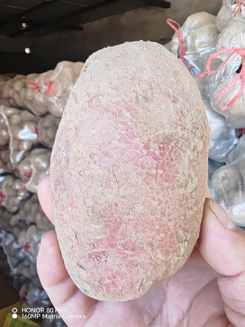 甘肃青薯九号，产地直发，价格合理，品种齐全，欢迎您来选购