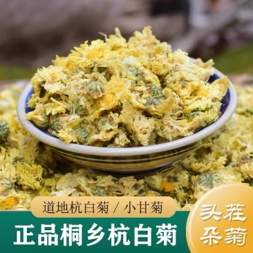 杭白菊真正的杭菊花杭菊花保质保量无硫***