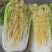 大白菜