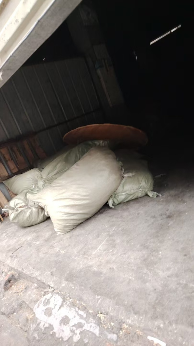 全干水煮白辣椒无硫精品百之百0添加传统工艺天然晒干而成。