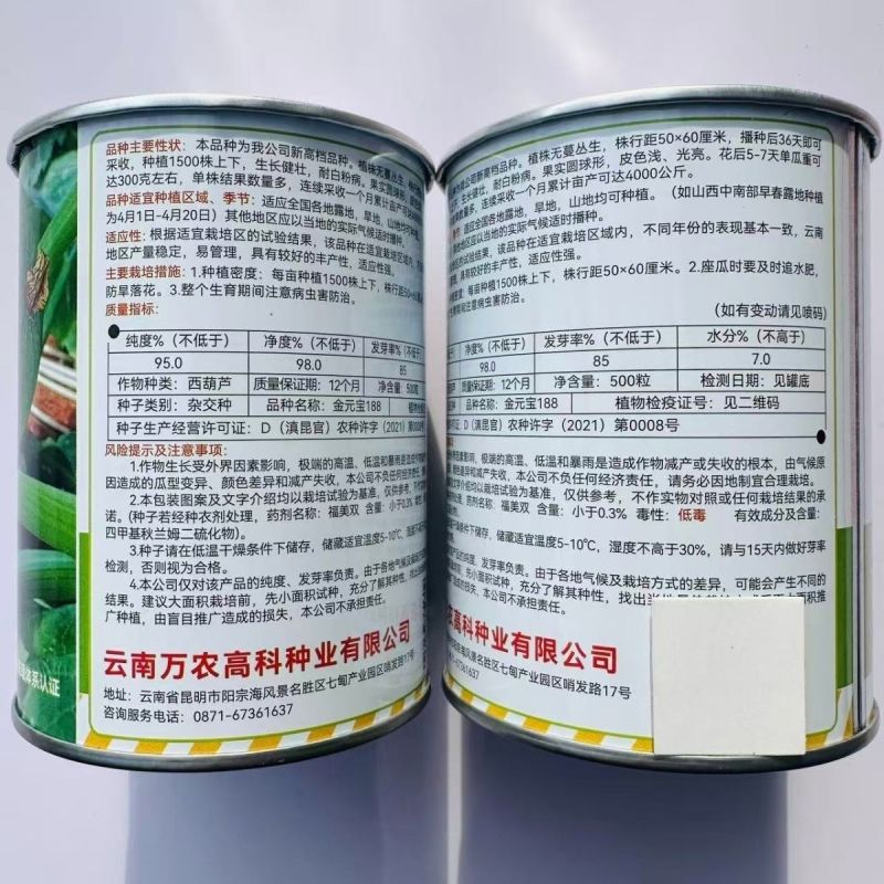 金元宝188高档无蔓圆球形西葫芦种子产量高皮色浅光亮圆葫