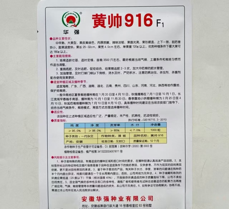 华强黄帅916辣椒种子高产辣味浓耐热果形顺黄绿皮大果羊角