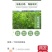 果园直发大樱桃苗黑珍珠特早熟**泰奥加品种纯正