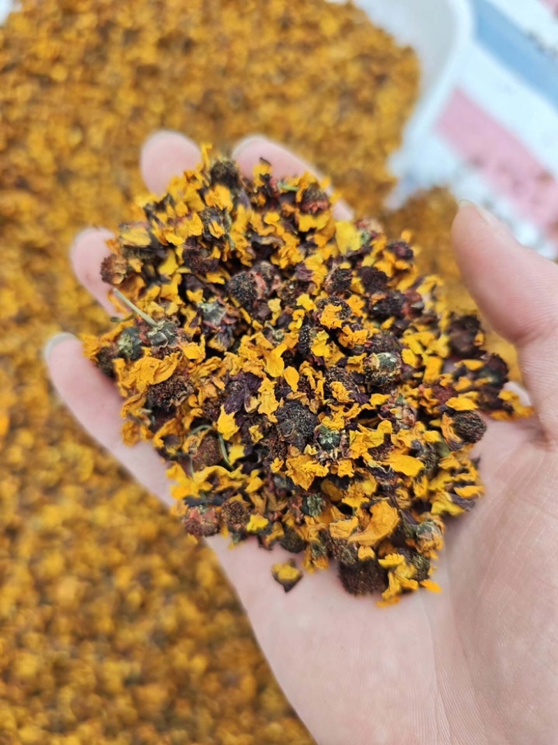 昆仑雪菊新疆雪菊无硫烘干新花干净批发零售