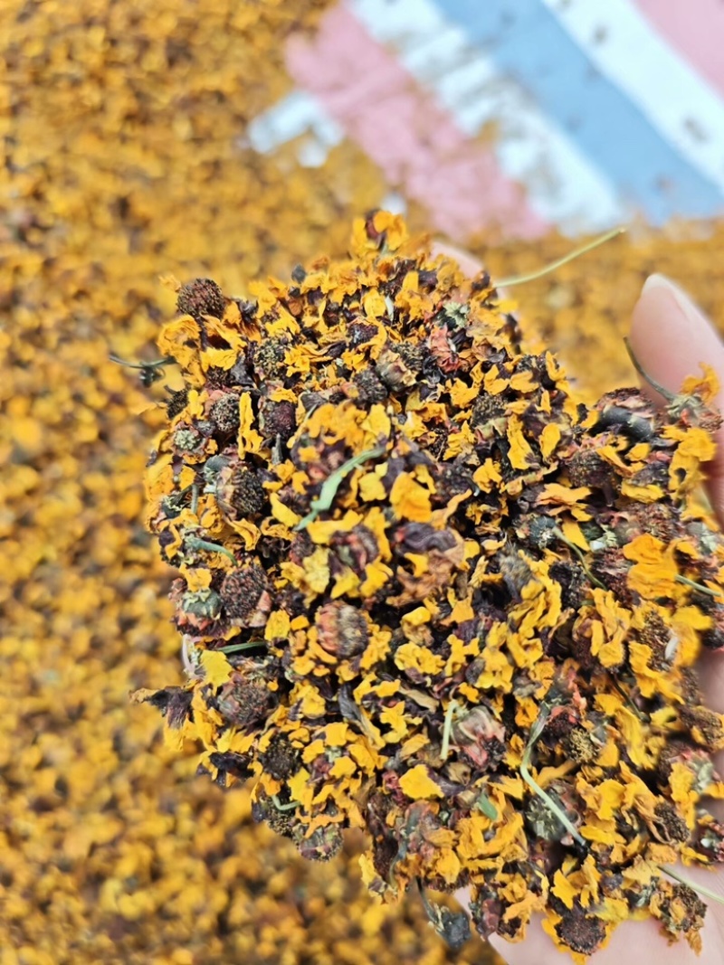 昆仑雪菊新疆雪菊无硫烘干新花干净批发零售